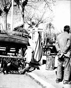Images d'Algerie 100